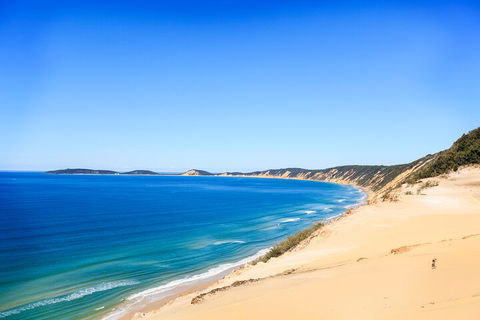 Kayak With Dolphins And 4WD Great Beach Drive Day Trip From Noosa - Pubs Melbourne 0