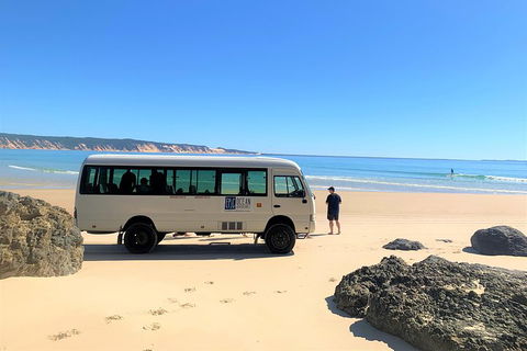 Kayak With Dolphins And 4WD Great Beach Drive Day Trip From Noosa - Pubs Melbourne 4