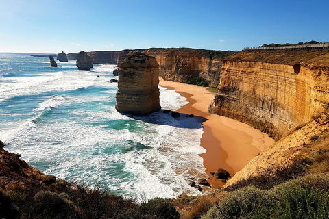 Helicopter Flight + Fine Dining Private Luxury Great Ocean Road Tour - Pubs Melbourne 4