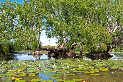 Ethical Adventures - Best In The WET - Litchfield / Kakadu 3 Day- Max 10 Guests - Pubs Melbourne 1