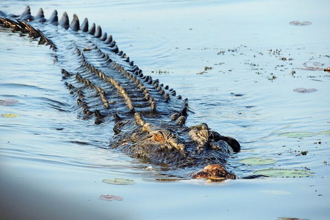Ethical Adventures - Best In The WET - Litchfield / Kakadu 3 Day- Max 10 Guests - Pubs Melbourne 4