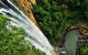 Rainforest & Waterfalls Extravaganza - thumb 1