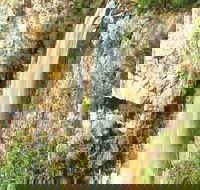 Private Tour - Rainforest  Waterfalls Extravaganza - Pubs Melbourne