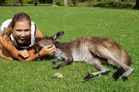 7-Day Tour In Sydney With Airport Pickup - Pubs Melbourne 4