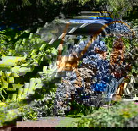 Adelaide 90-Minute Pedicab Tour Scenic Green  River Experience - Pubs Melbourne