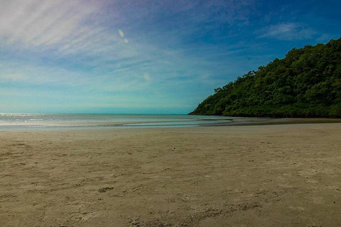 Cape Tribulation Day Tour - Pubs Melbourne 2