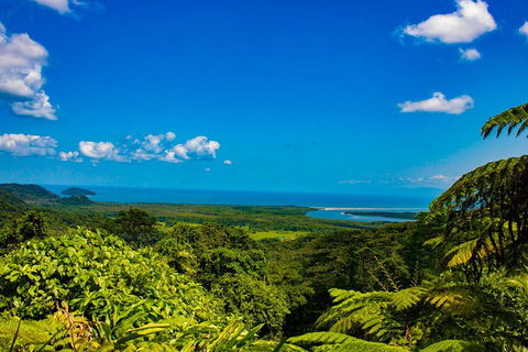 Cape Tribulation Day Tour - Pubs Melbourne 3