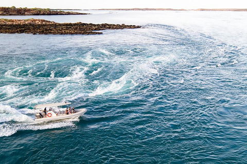 Giant Tides Tour - Cygnet Bay Pearl Farm - Pubs Melbourne 4