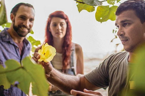 Ngana Julaymba Dungay - Full Day - Pubs Melbourne 4