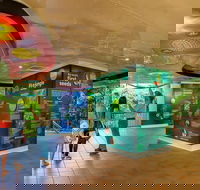 Skyrail  Kuranda Train Day Trip from Cairns - Pubs Melbourne