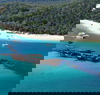 All Inclusive Tangalooma Wrecks Cruise Tour From Gold Coast - Pubs Melbourne