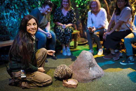 Sydney Taronga Zoo's Australian Animals Tour - Pubs Melbourne 0