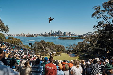 Sydney Taronga Zoo's Australian Animals Tour - Pubs Melbourne 5