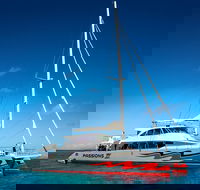 Passions of Paradise Great Barrier Reef Snorkel and Dive Cruise from Cairns by Luxury Catamaran - Pubs Melbourne