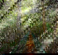 O'Reilly's  Lamington National Park from Gold Coast - Pubs Melbourne