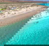 Ningaloo in a Day - Full Day Hike and Snorkel Tour with Lunch - Pubs Melbourne