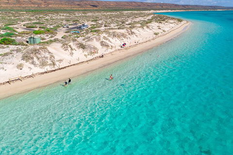 Ningaloo In A Day - Full Day Hike And Snorkel Tour With Lunch - Pubs Melbourne 0
