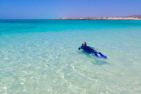 Ningaloo In A Day - Full Day Hike And Snorkel Tour With Lunch - Pubs Melbourne 4