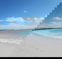 Shipwreck Special Nature Tour/Half Day Tour - Pubs Melbourne