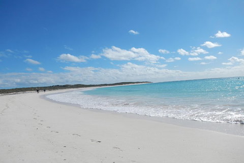 Shipwreck Special Nature Tour/Half Day Tour - Pubs Melbourne 0