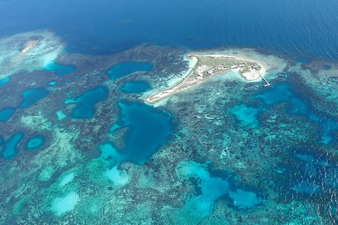 Shipwreck Special Nature Tour/Half Day Tour - Pubs Melbourne 5