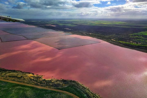 Kalbarri, Pink Lake And Abrolhos Islands Nature Tour - Pubs Melbourne 1