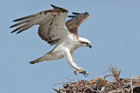 Pink Lake + Abrolhos Islands Nature Tour - Pubs Melbourne 3