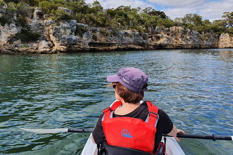 Cliffs And Caves Kayak Tour In Swan River - Pubs Melbourne 0
