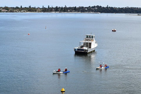 Cliffs And Caves Kayak Tour In Swan River - Pubs Melbourne 2