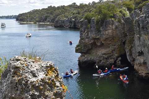 Cliffs And Caves Kayak Tour In Swan River - Pubs Melbourne 5