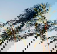 Darwin City Sightseeing Tour - Pubs Melbourne