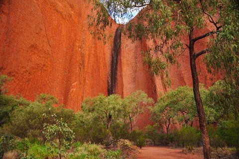 Uluru Sunrise And Guided Base Walk - Pubs Melbourne 3