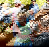 Tiwi Islands Cultural Experience from Darwin Including Ferry - Pubs Melbourne