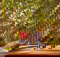 Darwin City Sights and Jumping Crocodile Cruise - Pubs Melbourne