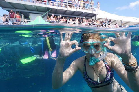 Great Barrier Reef Day Cruise From Cairns Including Snorkeling And Marine Biologist Presentation - Pubs Melbourne 0