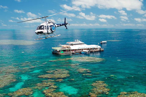 Great Barrier Reef Day Cruise From Cairns Including Snorkeling And Marine Biologist Presentation - Pubs Melbourne 5
