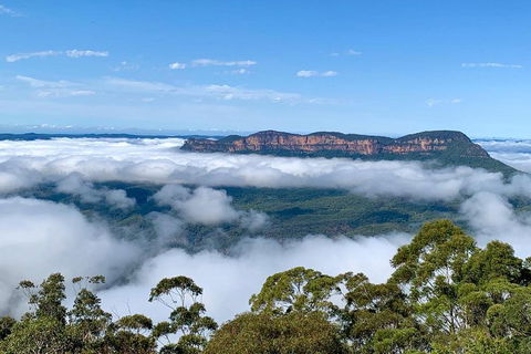 Small-Group Blue Mountains Tour With A Local Guide - Pubs Melbourne 4
