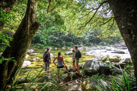 Private Daintree Mossman Gorge Exclusive Nature And Wildlife Focus - Pubs Melbourne 5