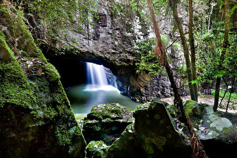 Natural Bridge & Springbrook Waterfalls Tour + Hot Air Balloon With Breakfast - Pubs Melbourne 4