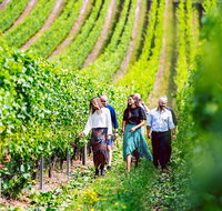 Tasmanian Wine Tour - Pubs Melbourne