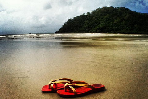 Daintree And Cape Tribulation Full Day Guided Tour - Pubs Melbourne 4