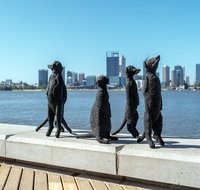 Perth by Bike Private Tour with a Local - Pubs Melbourne