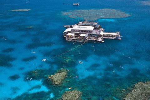 Quicksilver Outer Great Barrier Reef Snorkel Cruise From Palm Cove - Pubs Melbourne 1