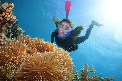 Quicksilver Outer Great Barrier Reef Snorkel Cruise From Palm Cove - Pubs Melbourne 2