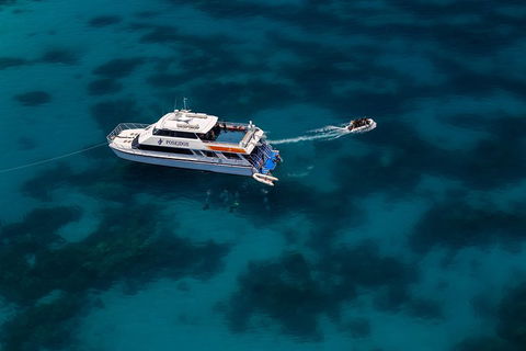 Quicksilver Dive 4 Day PADI Learn To Dive Course - Pubs Melbourne 1