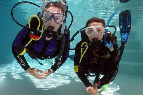 Quicksilver Dive 4 Day PADI Learn To Dive Course - Pubs Melbourne 2