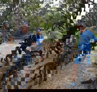 Fully guided E-Mountain Bike Tour on the beautiful Mornington Peninsula. - Pubs Melbourne