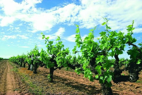 7 Days Perth All-Inclusive Touring Grand Package - Pubs Melbourne 2