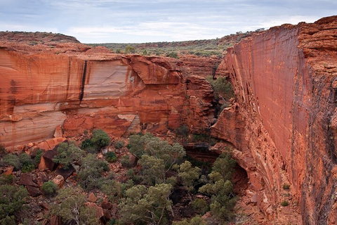 Uluru, Kata Tjuta And Kings Canyon Camping Safari From Ayers Rock - Pubs Melbourne 1