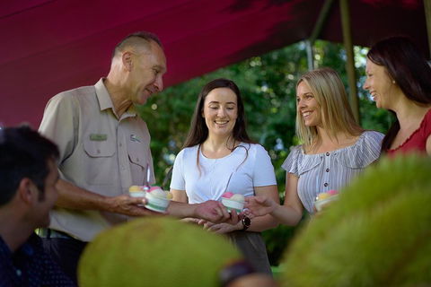 Daintree And Cape Tribulation Tour From Cairns - Pubs Melbourne 5